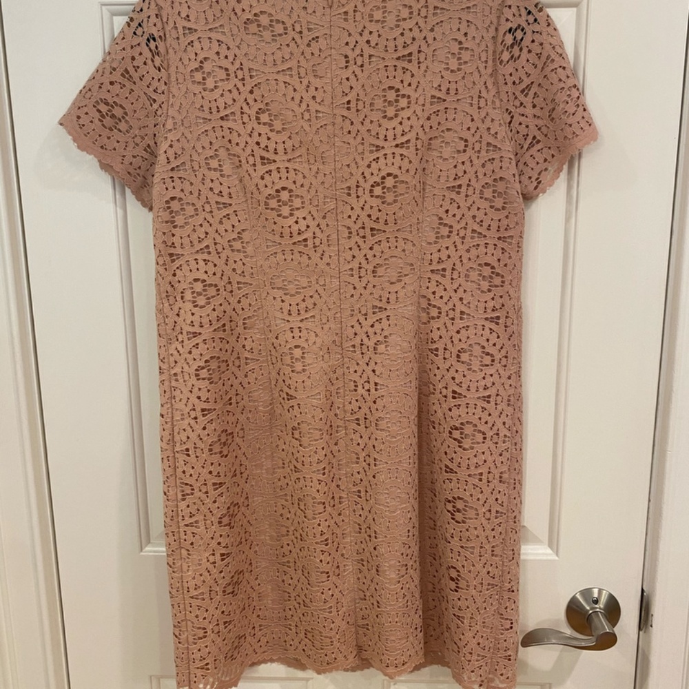 Ann Taylor Lace Shift Dress - Picture 4 of 7